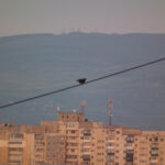 DSCF2393