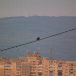 DSCF2394