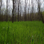 DSCF2507