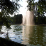 2011-06-19-18.52.55