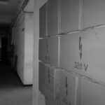 29072011007