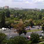 IMAG0020