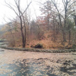 20111119_144619