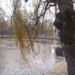 20111119_144641