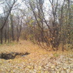 20111119_144905