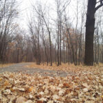 20111119_145135